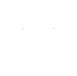 The Royal Company of Merchants of Edinburgh